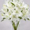 White lilies arrangement
