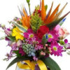 Deal of the day flowers