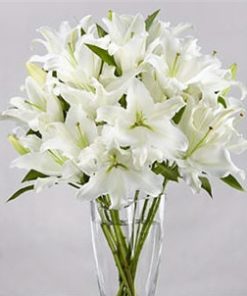 White lilies arrangement
